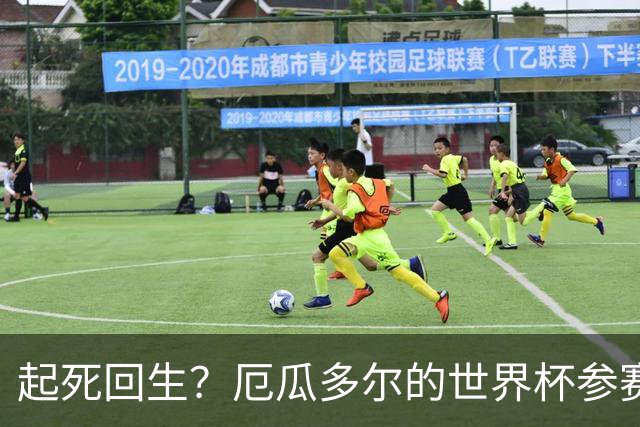 起死回生？厄瓜多尔的世界杯参赛名额可能给意大利